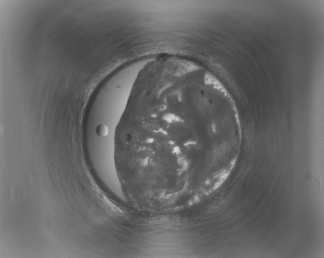 X0000078310721200611172214