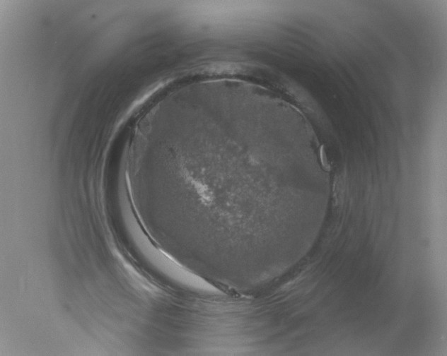 X0000078310722200611172214