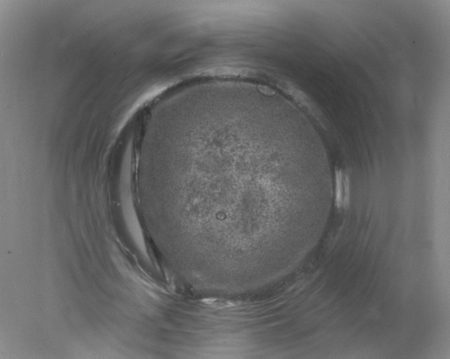 X0000078310723200611172214