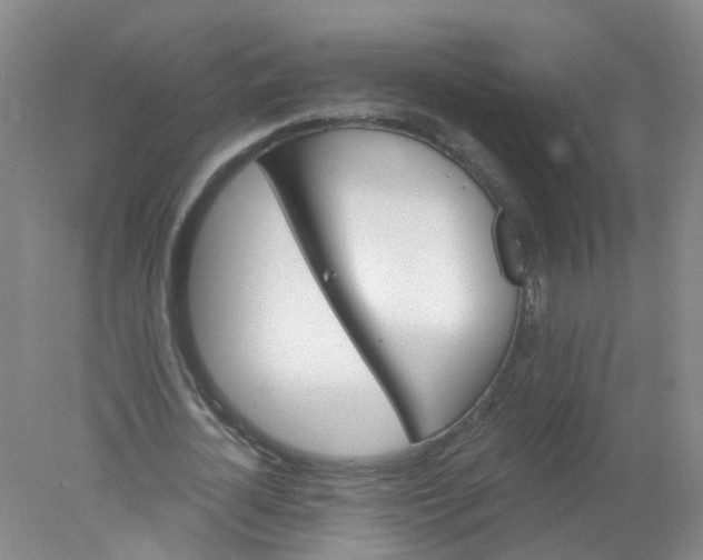 X0000078310724200611172214