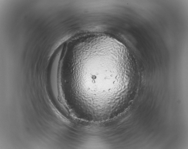 X0000078310725200611172214