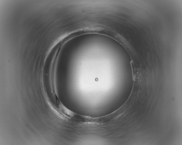 X0000078310726200611172214