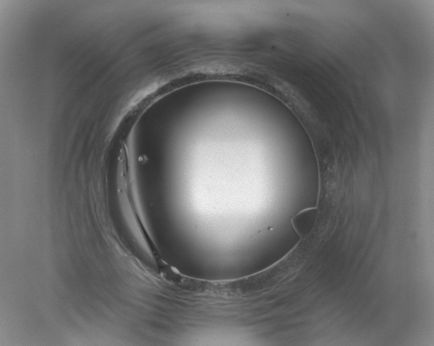 X0000078310727200611172214