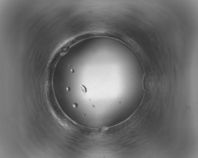 X0000078310728200611172214