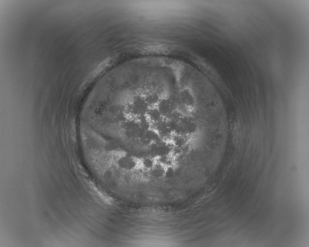 X0000078310729200611172214