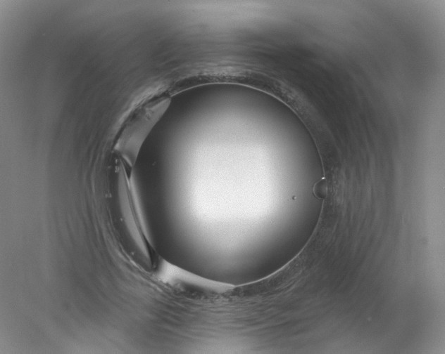 X0000078310731200611172214