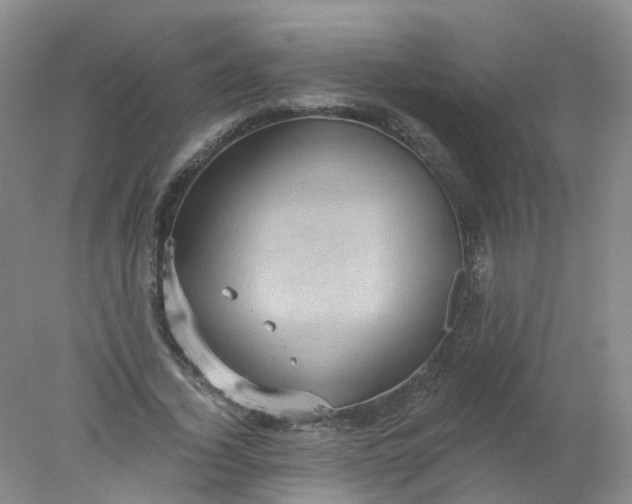 X0000078310732200611172214