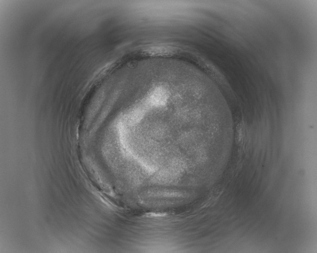 X0000078310733200611172214