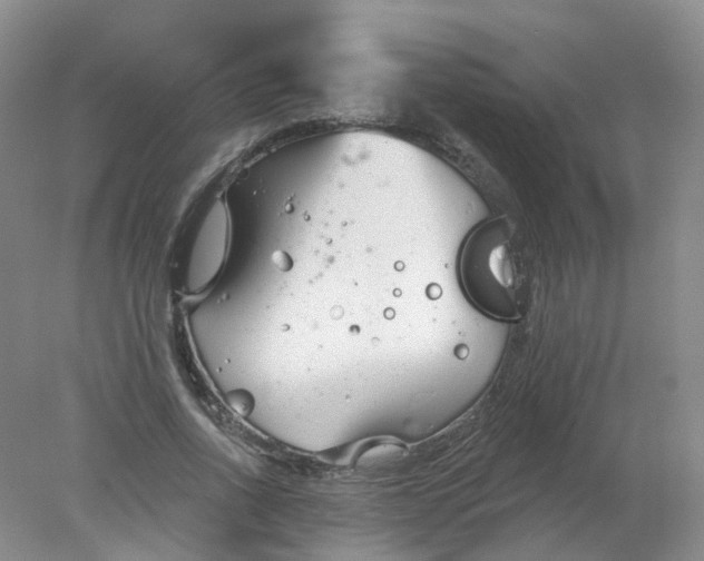 X0000078310734200611172214