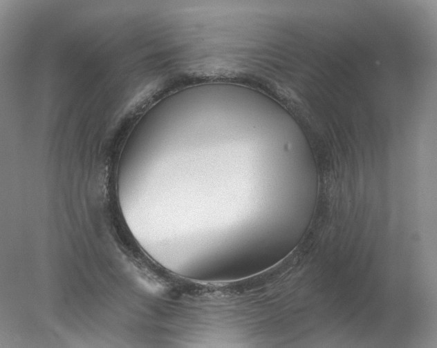 X0000078310735200611172214