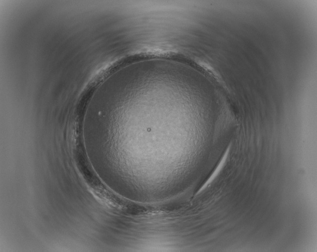 X0000078310736200611172214