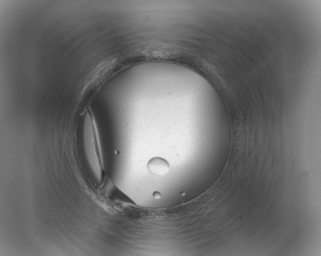 X0000078310738200611172214