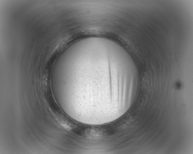 X0000078310739200611172214