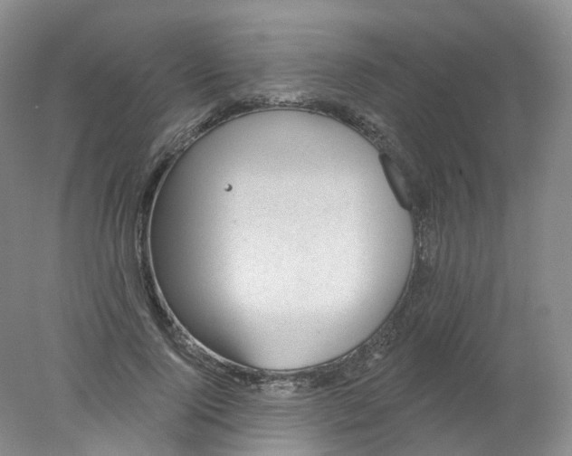 X0000078310740200611172214