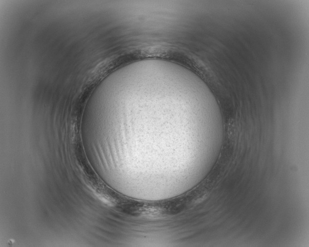 X0000078310741200611172214