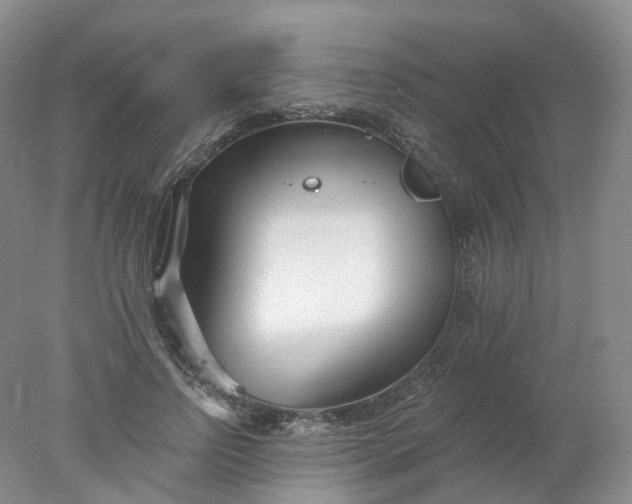 X0000078310742200611172214