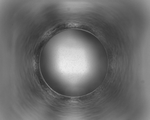 X0000078310743200611172214