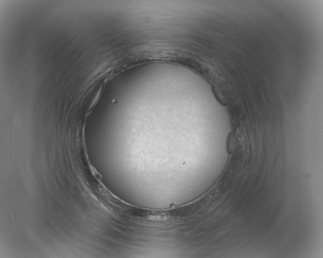 X0000078310744200611172214