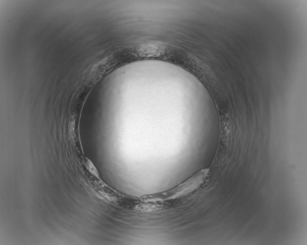 X0000078310745200611172214