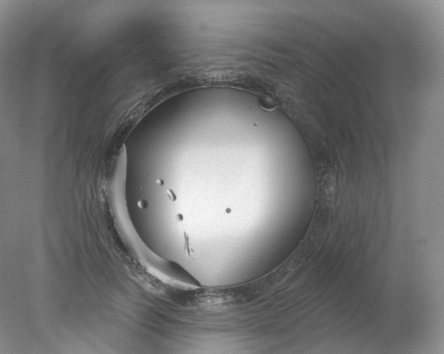 X0000078310746200611172214