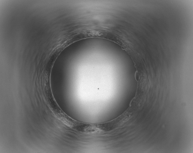 X0000078310747200611172214