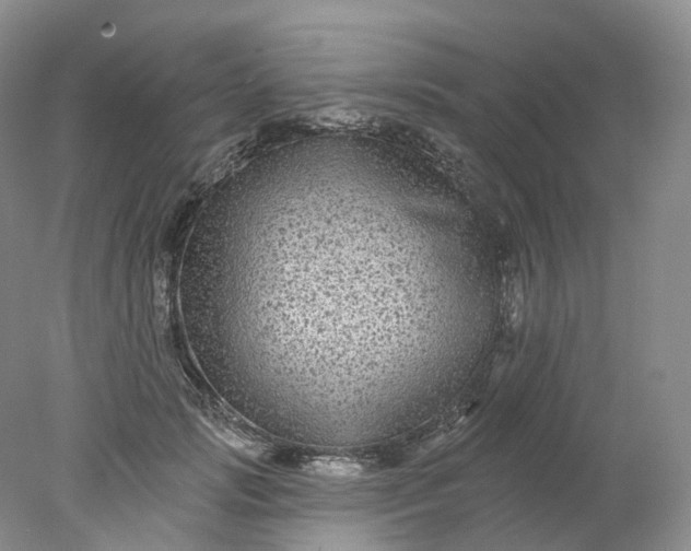 X0000078310749200611172214