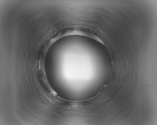 X0000078310750200611172214