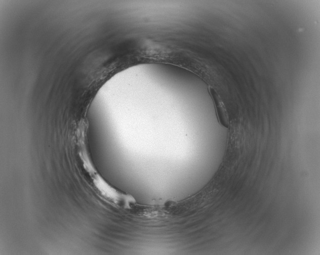 X0000078310752200611172214