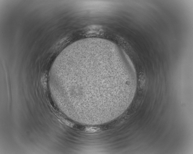 X0000078310753200611172214