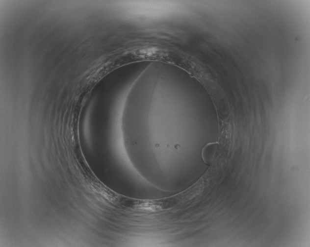 X0000078310754200611172214