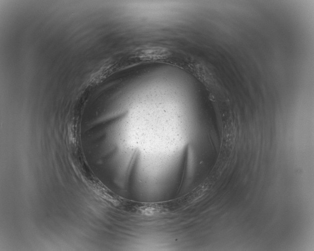 X0000078310755200611172214