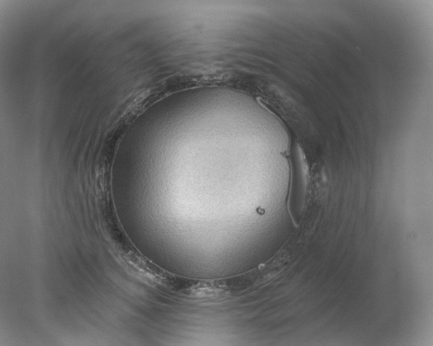 X0000078310756200611172214