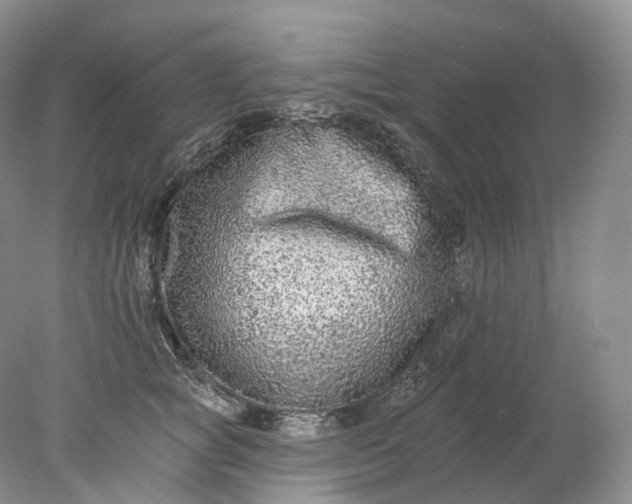 X0000078310757200611172214