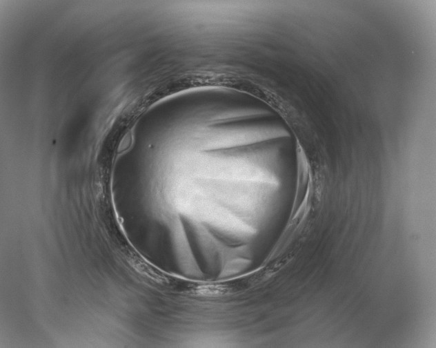 X0000078310758200611172214