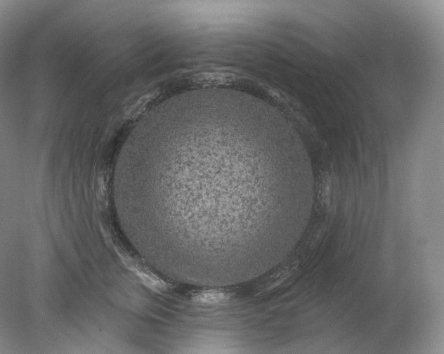 X0000078310759200611172214