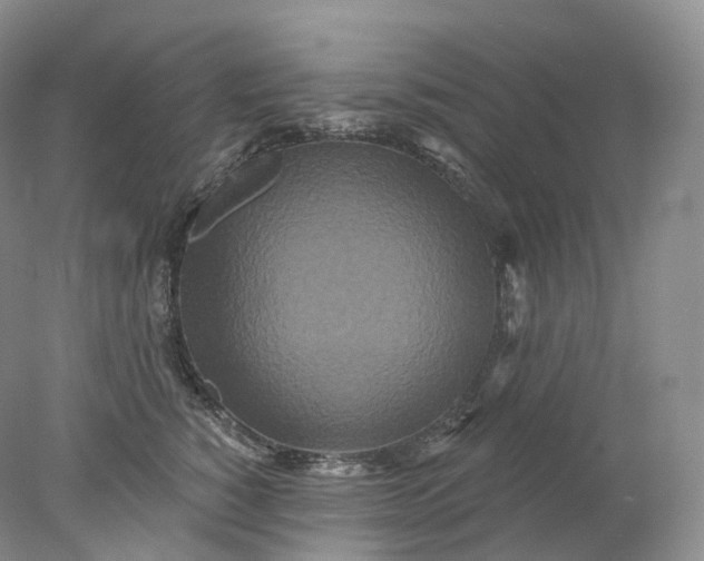 X0000078310760200611172214