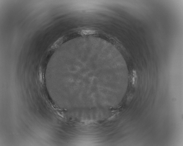 X0000078310763200611172214