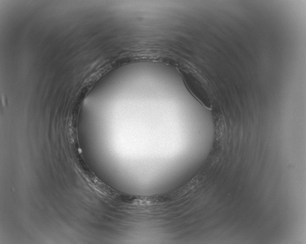 X0000078310764200611172215