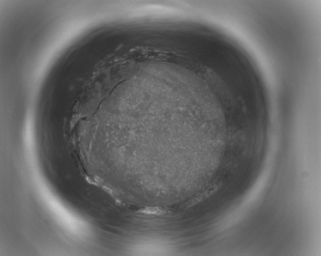 X0000078310765200611172215