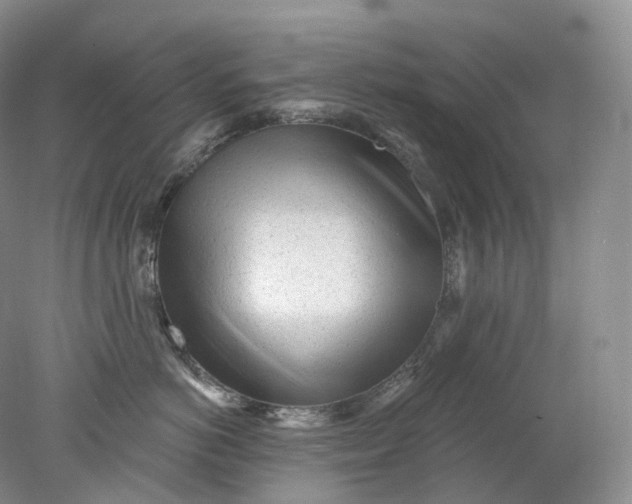 X0000078310766200611172215