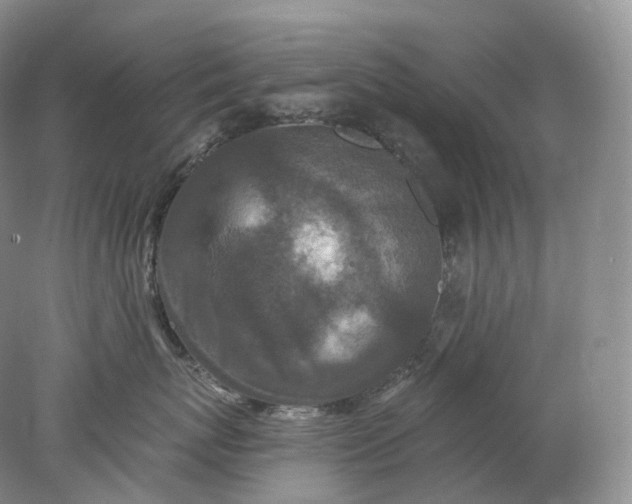 X0000078310767200611172215