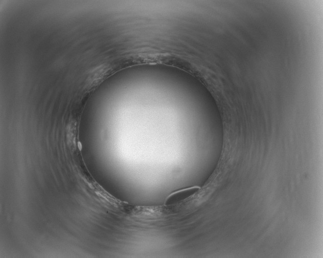 X0000078310768200611172215