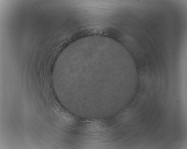 X0000078310769200611172214