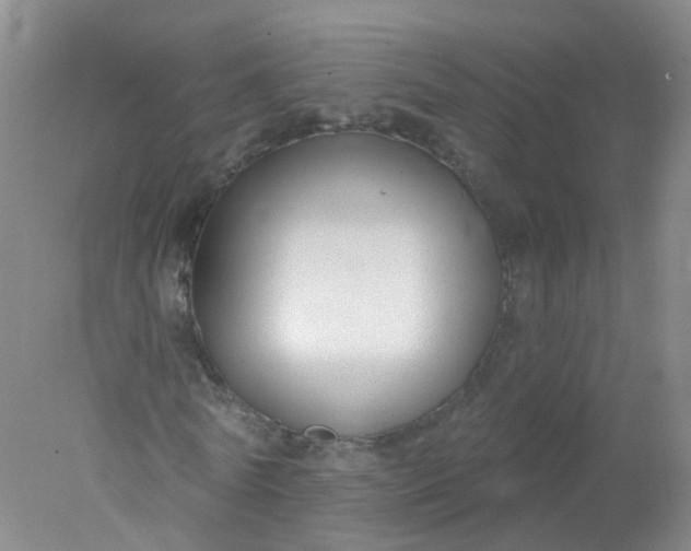 X0000078310770200611172214