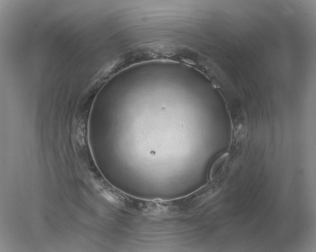 X0000078310772200611172214