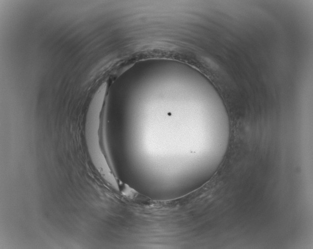 X0000078310774200611172214