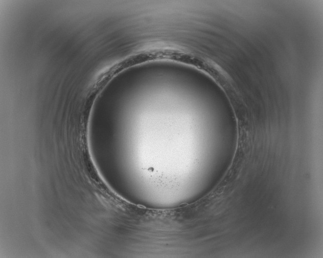 X0000078310775200611172214