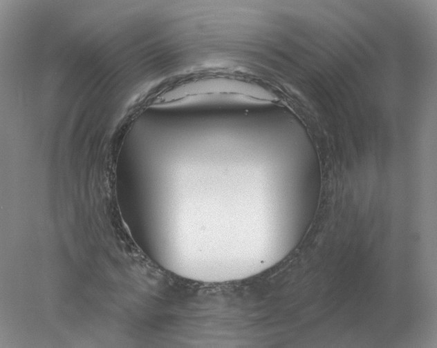 X0000078310776200611172214