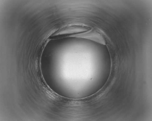 X0000078310777200611172214