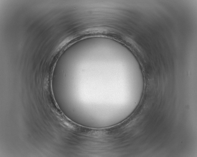 X0000078310778200611172214